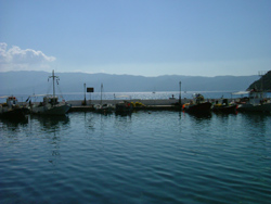 Poli Bay