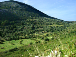 Poli Valley